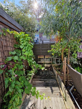 Medium property photo - Spiraeastraat 96, 2563 ST Den Haag